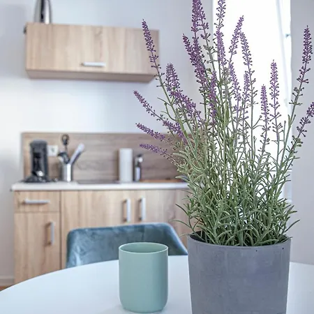 Apartment Kabinett Zell Экстерьер фото