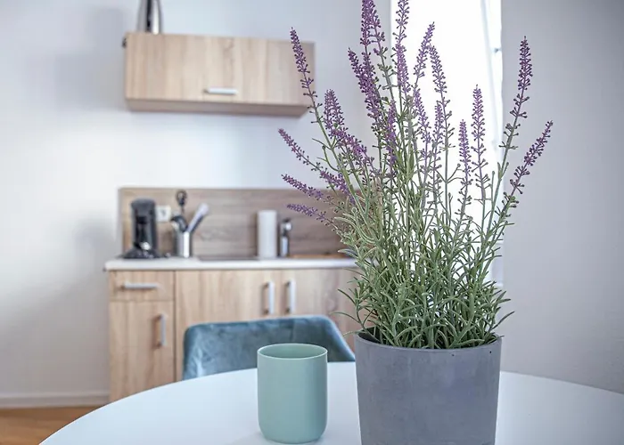 Apartment Kabinett Zell