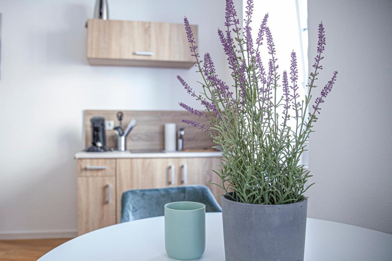 Apartment Kabinett *
